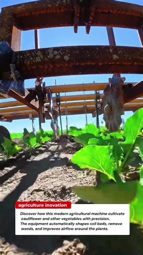 Vegetable Cultivation Machine – Automatic Soil Shaping and Weeding for Cauliflower