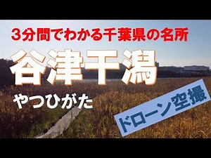 ３分でわかる千葉県の名所「谷津干潟」【ドローン空撮】やつひがた