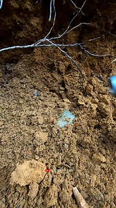 19K views · 193 reactions | Beautiful Jade rock In forest #jade #jadeite #gemstones #agate #diamond #gemsprospecting #petrifiedwood #fyp #fypreels #foryoupage | Rimba Story | Facebook