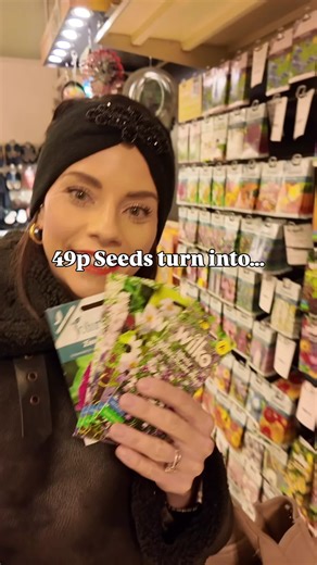 49p you need to try… Sometimes you look at a seed packet and wonder if they will ever actually look like that… ‘Swan River Daisy’ really do look beautiful and they are perfect for filling pots or the front of your containers with a sea of colour. These 49p Wilko seeds can be found @The Range also stock Homebase garden items too! I will be sowing mine in Feb ❤️ Link to my gardening club in my bio 😘 #garden #gardening #gardeningtips