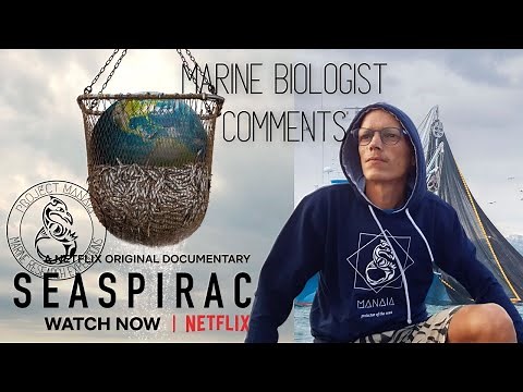 SEASPIRACY REVIEW by MARINE BIOLOGIST - Netflix Documentary