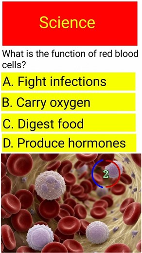 What Is the Function of Red Blood Cells? | Science GK Quiz