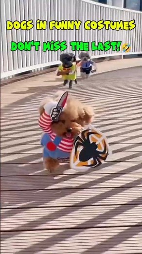 Funniest Dog Costumes Compilation 2025 | Hilarious Pet Outfits That’ll Make You Laugh!