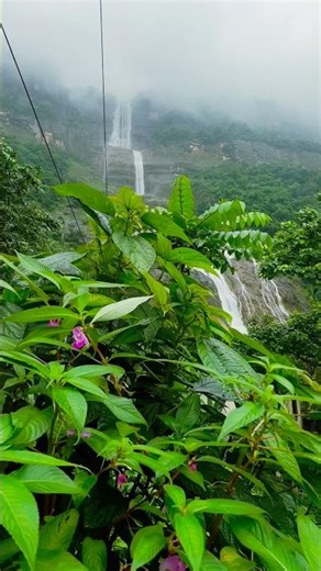 🌿 Meghalaya’s Beauty In 30 Seconds ❤️ | Nature At Its Best