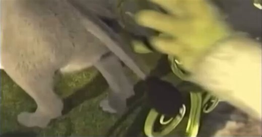 Shrek Sierra Mist commercial (2004)