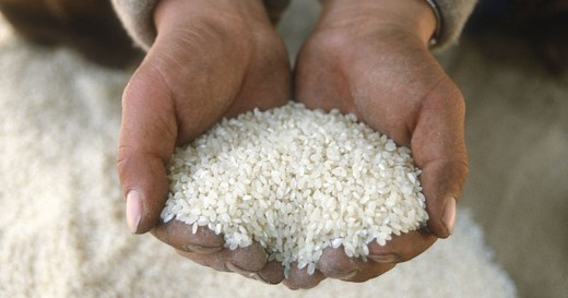 Dangerous levels of arsenic found in US rice: What families need to know now