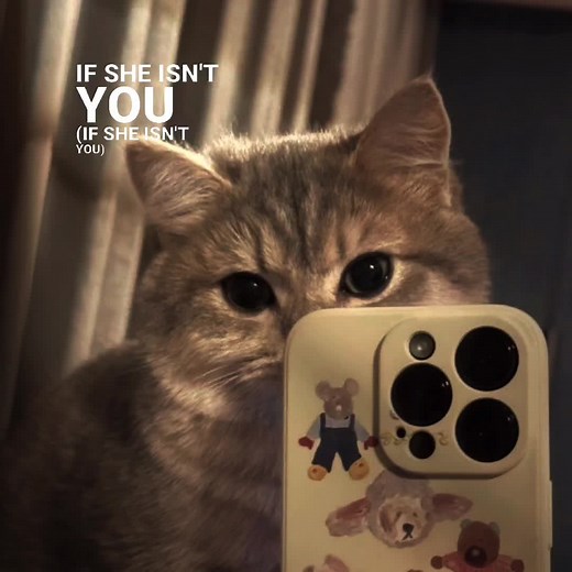 Template for 1 Picture with Song Lyrics