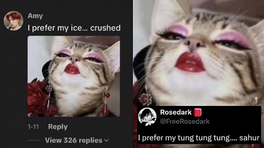 What Is The 'I Prefer My Ice Crushed' Meme? The Context Of The Controversial Viral Anti-ICE Cat Memes Explained