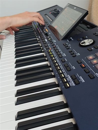 Korg Style Instrumental Music for Love