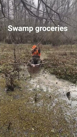 12ft cypress pirogue bringing home the meat @parrishpirogues #swamplife #pirogue