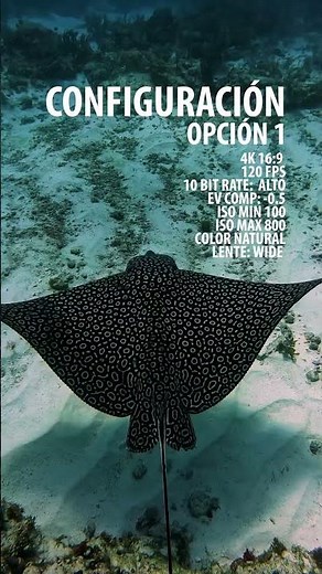 Como sacarle provecho a tu GoPro bajo el agua