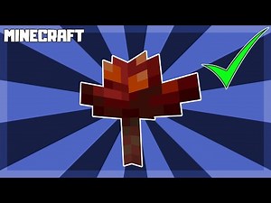 MINECRAFT | How to Get Crimson Fungus! 1.16.1