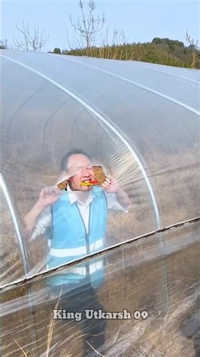 अमरूद चोर 😂 #catsoftiktok #catlovers #cat #cute #funnycats #catcartoon #fyp