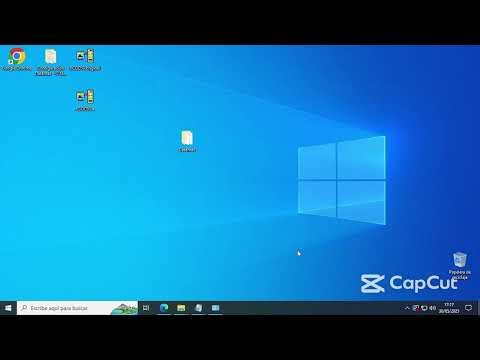 Capacitación Técnica: Manejo Impresora Datamax