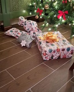 15K views · 1K reactions | Day 1740 Merry morning, and I've been good and the big man's been. Happy Christmas to all, ps I didn't get the carrot 藍歷☃️♥️ VIVAT REX ICH DIEN ♥️ | Watchman | Facebook