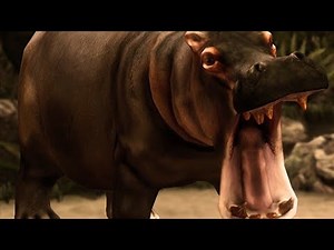 Ultimate Hippo Simulator #android