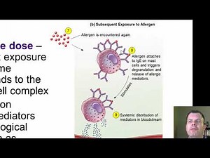 Chapter 16 Immune Disorders (CC)