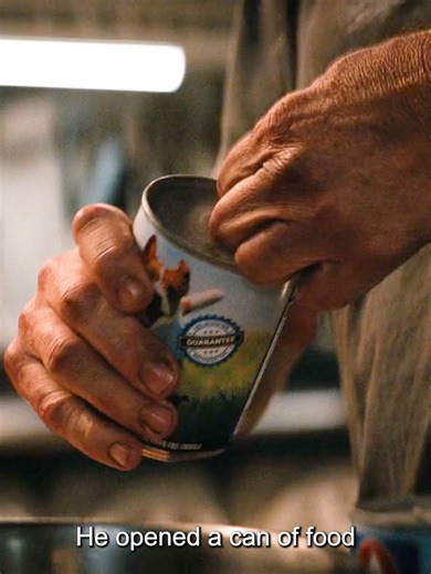 Exploring Humanity Through a Robot's Journey in a Dystopian World