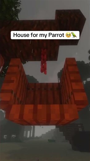 ➤ I built a House for my Parrot 🦜 #shorts #minecraft