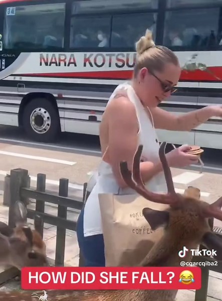 Funny Deer Moments That Will Make You Smile