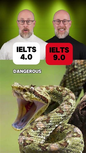 Do you know these words for DANGEROUS?