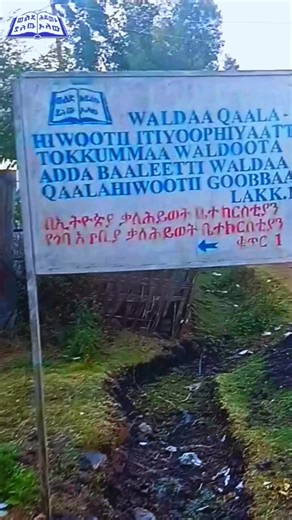 10000-33-አስራ አንድ-96-43 የጎባ ከተማ አጥቢያ ቃለ-ህይወት ቤተክርስቲያን #BaleGoba_kale_hiwet_Church #ወልድ_ያለው_ህይወት_አለው #ባሌጎባ #ቃለሕይወት @Master Abinet Kebede @John @simon peter @Musse Solomon @John @Pente Mezmur | ጴንጤ መዝሙር @ᴄ𝕙ʀ𝕚s𝕥ɪ𝕒ɴ_𝕞ᴇ𝕫ᴍ𝕦ʀ @fikesha
