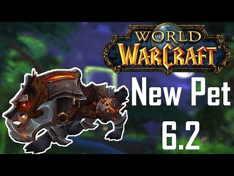 WoW | How to get a Iron Warwolf | Hunter Pet Guide