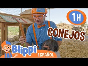 Blippi visita los conejos en la granja🐰| Blippi Español | Videos educativos para niños