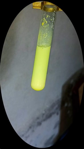 💛𝗬𝗲𝗹𝗹𝗼𝘄💚#shorts #science #chemistry #explore #experiment #art #school #colors #practical #lab #love