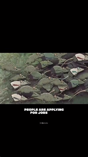 Drivetube on Instagram: "Your resume gets 6 seconds. If it’s wrong, HR won’t even read it. Fix it before you apply again. resume tips, fresher resume, job resume, ats resume, resume mistakes, job search india, resume guide, interview shortlisting #ResumeTips #JobSearch #Freshers #CareerGrowth #InterviewPrep"