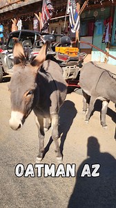 Cruisin' down memory lane on Route 66 in Arizona! ☀️ From classic diners to quirky roadside attractions, this stretch of the Mother Road is pure Americana. #Route66 #Arizona #RoadTrip #Travel #VintageAmerica #GetYourKicks | Route 66 Road Relics