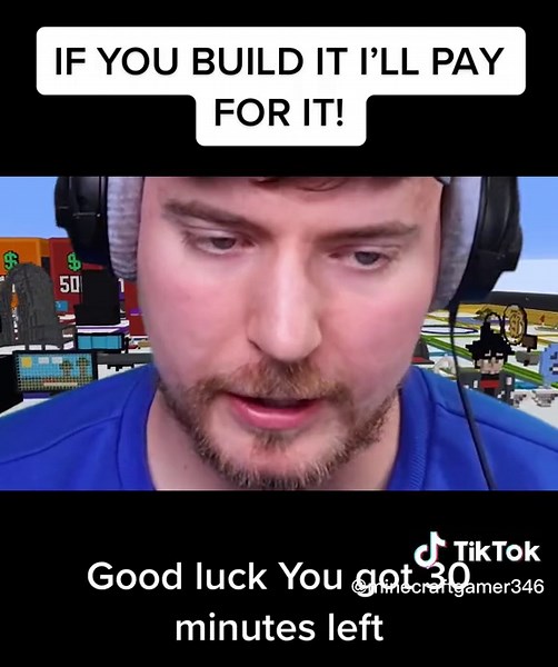 MrBeast Gaming Minecraft Challenge: If You Build It, I'll Pay For It!
