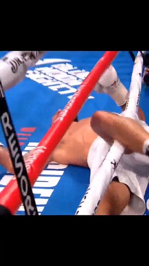 #boxing #sport #respect | Boxing Fans