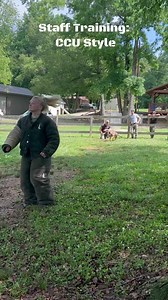 CCU Staff Training looks a little different than some, but it sure is exciting. Featured: CCU’s own Stephanie & K9 “Vargas” #Decoy #WorkingDog #Bitework #BiteWorkTraining | Custom Canine Unlimited