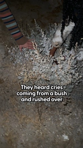 1.3M views · 10K reactions | This couple found a puppy living all alone in the desert — they had no idea that their family would change forever ❤️ We are continuing to celebrate Pride by spotlighting some of our favorite LGBTQ+ pet parents, their pets and rescue work. Keep up with Sarah on Instagram: thedo.do/sarahyak_, Tori on TikTok: thedo.do/torielizabethprince and Cholla on Instagram: thedo.do/coyotewithacollar. | The Dodo | Facebook