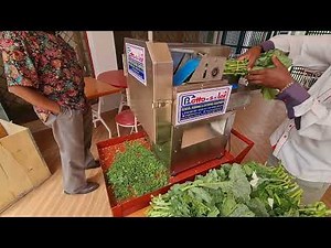 New Commercial Vegetable Cutter Model S20 from Botto Solar Ltd