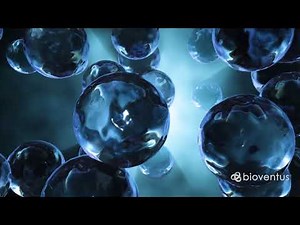 Introduction to DUROLANE