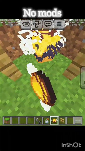 Minecraft no mods #shorts