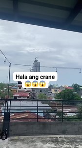 Irish Spring on Reels