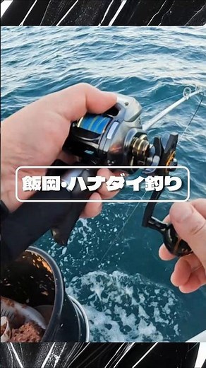 飯岡【ハナダイ釣り】最高！#船釣り#隆正丸 #外房