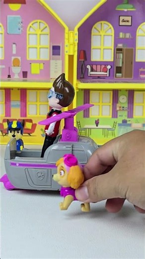 Paw Patrol Toy Collection ASMR #pawpatrol #satisfying #asmr