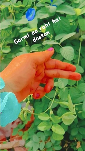 ye ji ac lagawaiye #sort hand video status video