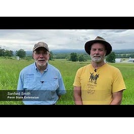 Great American Kestrel Conservation