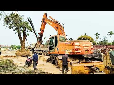 New project, DOOSAN DX210W with big tree crane