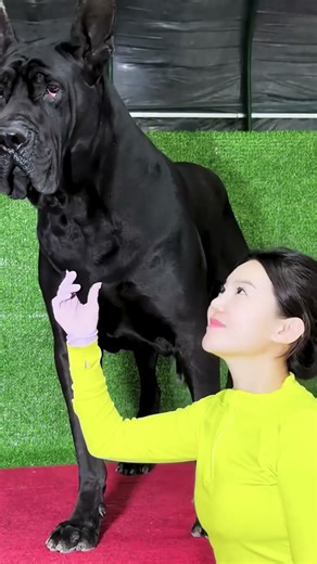 Asmile is a charitable act@ 4