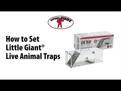 How to Set the Little Giant® Live Animal Traps