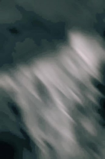 Dressed Cat in Human Outfit: A Unique Feline Fashion | TikTok