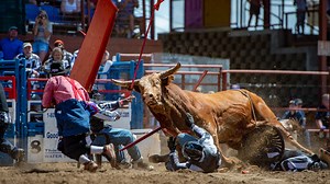 What is the Angola Prison Rodeo? What to know about the event featuring inmate cowboys