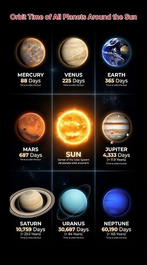 How Many Days to Orbit the Sun? 🌞