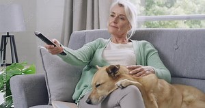 Senior woman watching tv and sitting on a couch with her pet dog. Retired serious woman relaxing at home on the weekend and bonding with her canine in the living room. Woman enjoying time alone